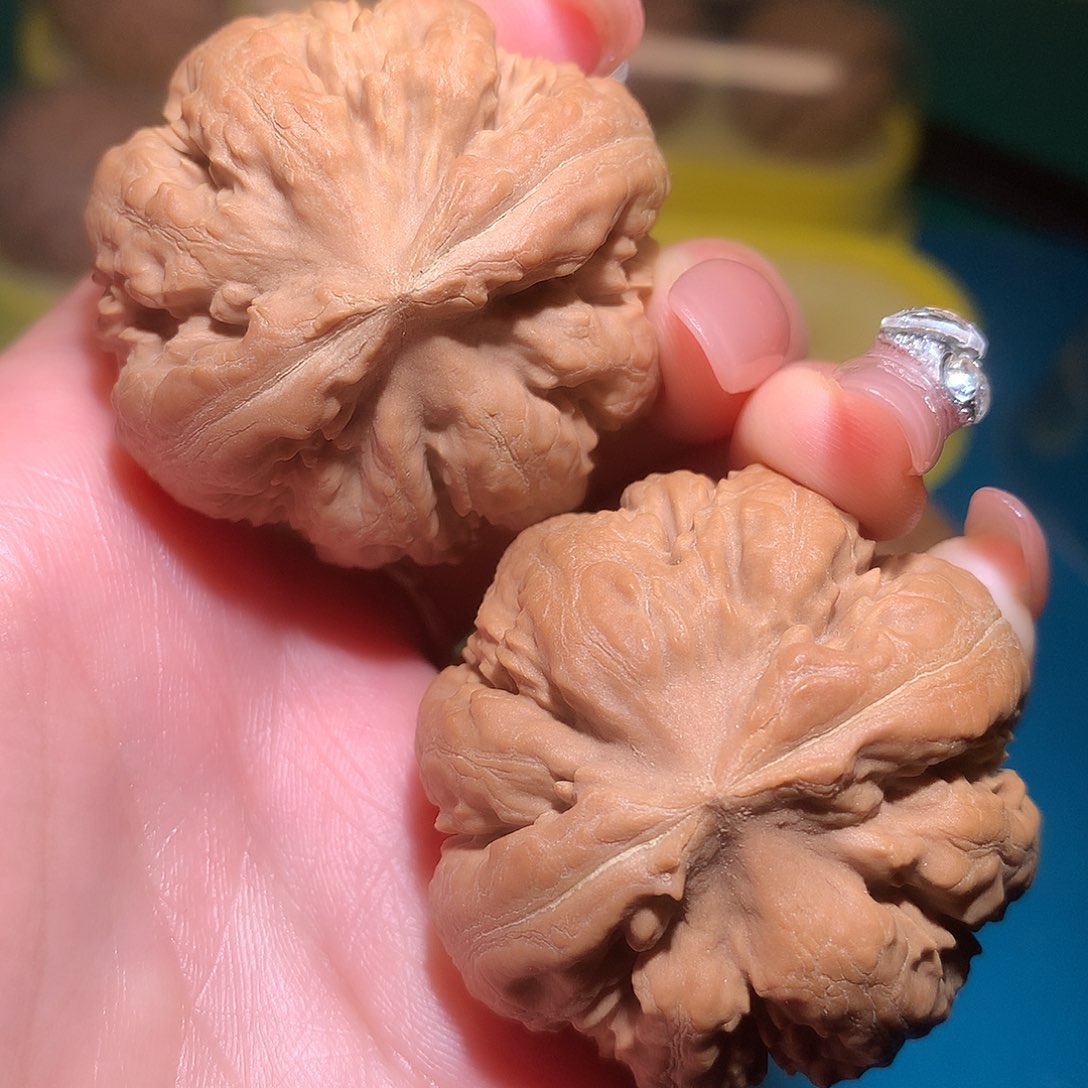 文玩核桃把件43全品八筋巨鼎霸王龙