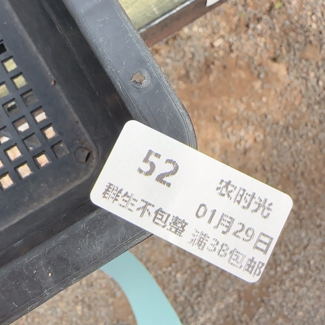 【闪购商品】0129-52（m1-267）专拍