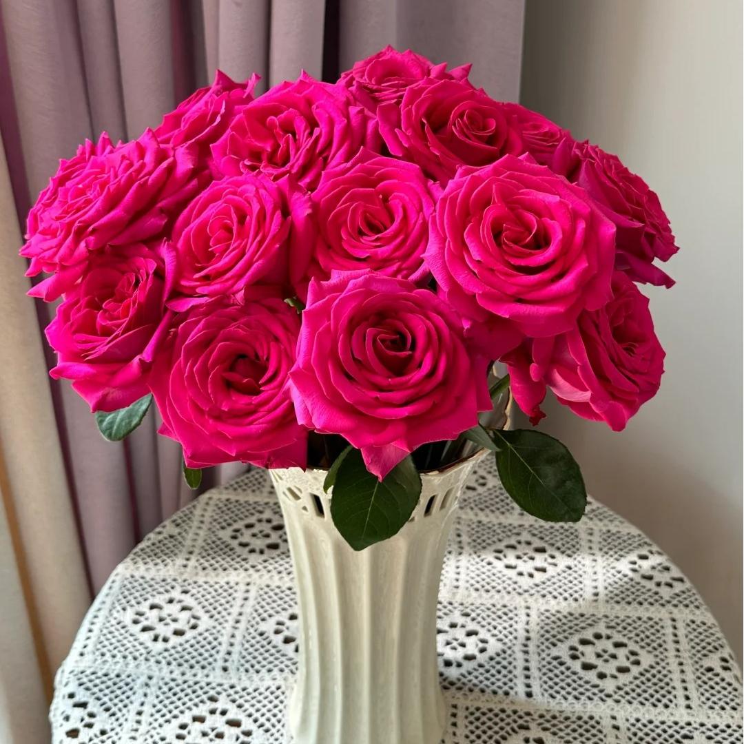 【弗洛伊德玫瑰】云南直发玫瑰鲜花两单京东冷链包邮