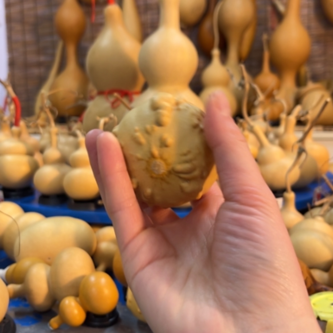 【闪购商品】L***G他他他他他他他他他