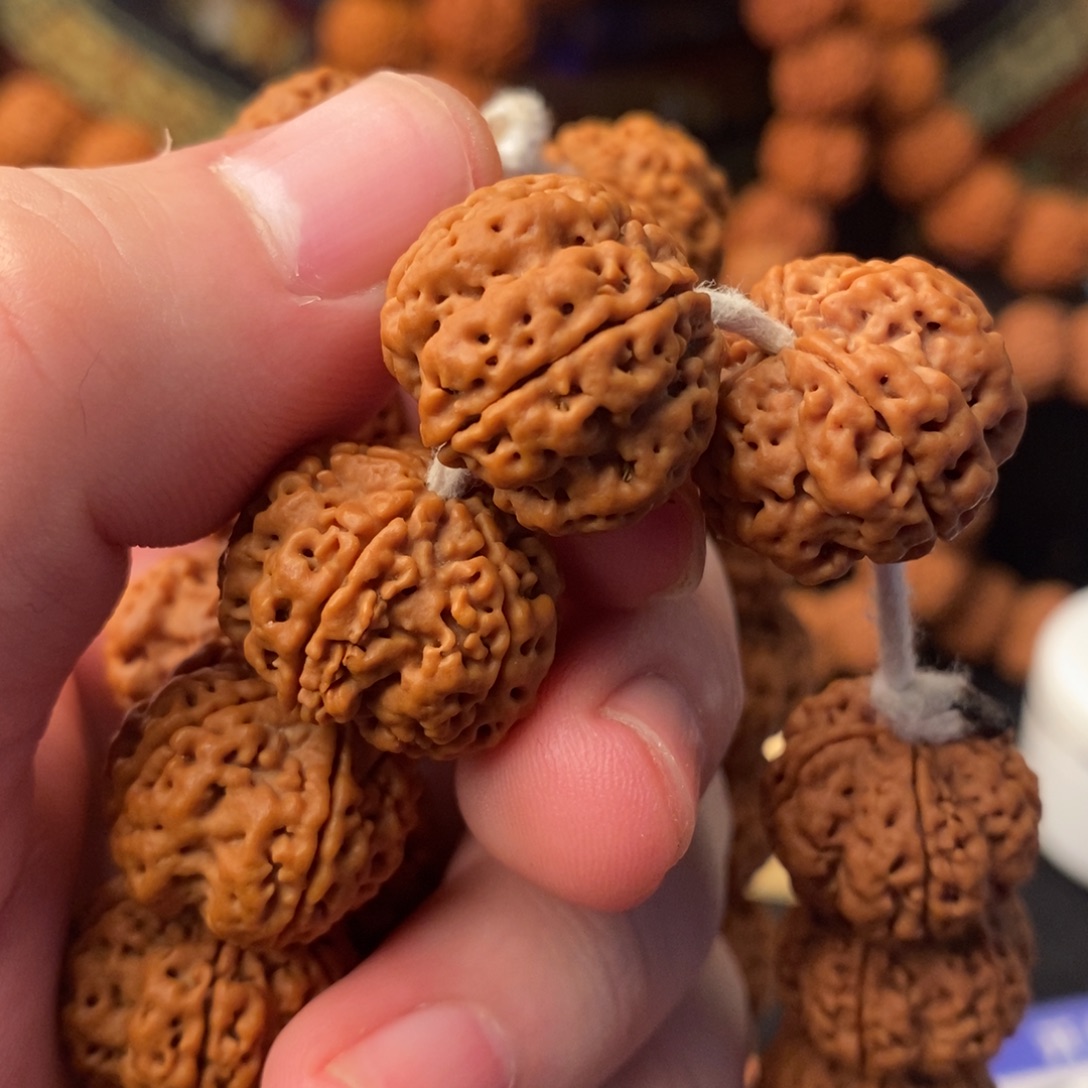 金刚菩提吊坠20+21五星双龙