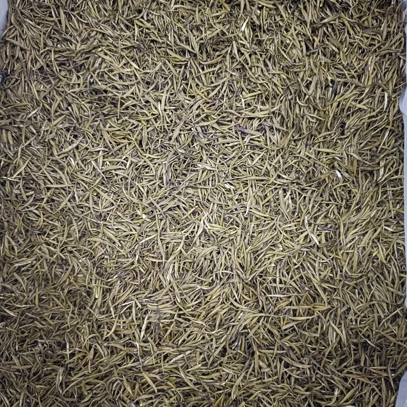 云南绿茶雀舌单芽贰