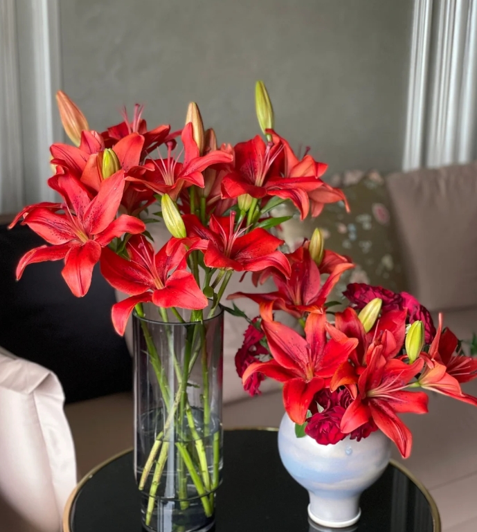 【新疆花之溪】红宝石百合  3头3枝（10%-20%不赔付）头小介意勿拍
