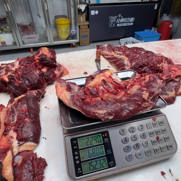 懒***名9个月中国大陆编排加窝骨