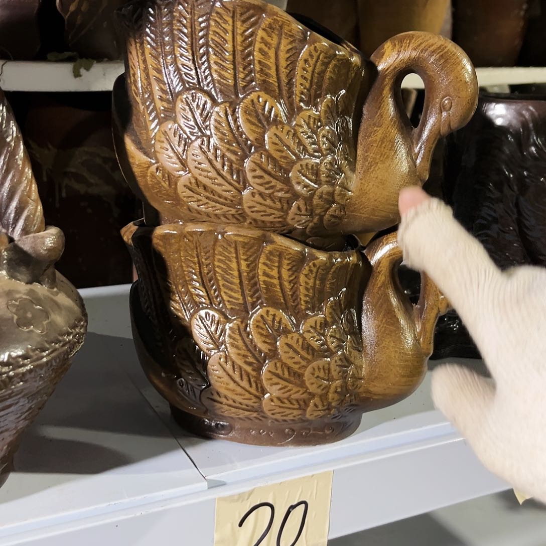 紫砂花盆花盆里的小