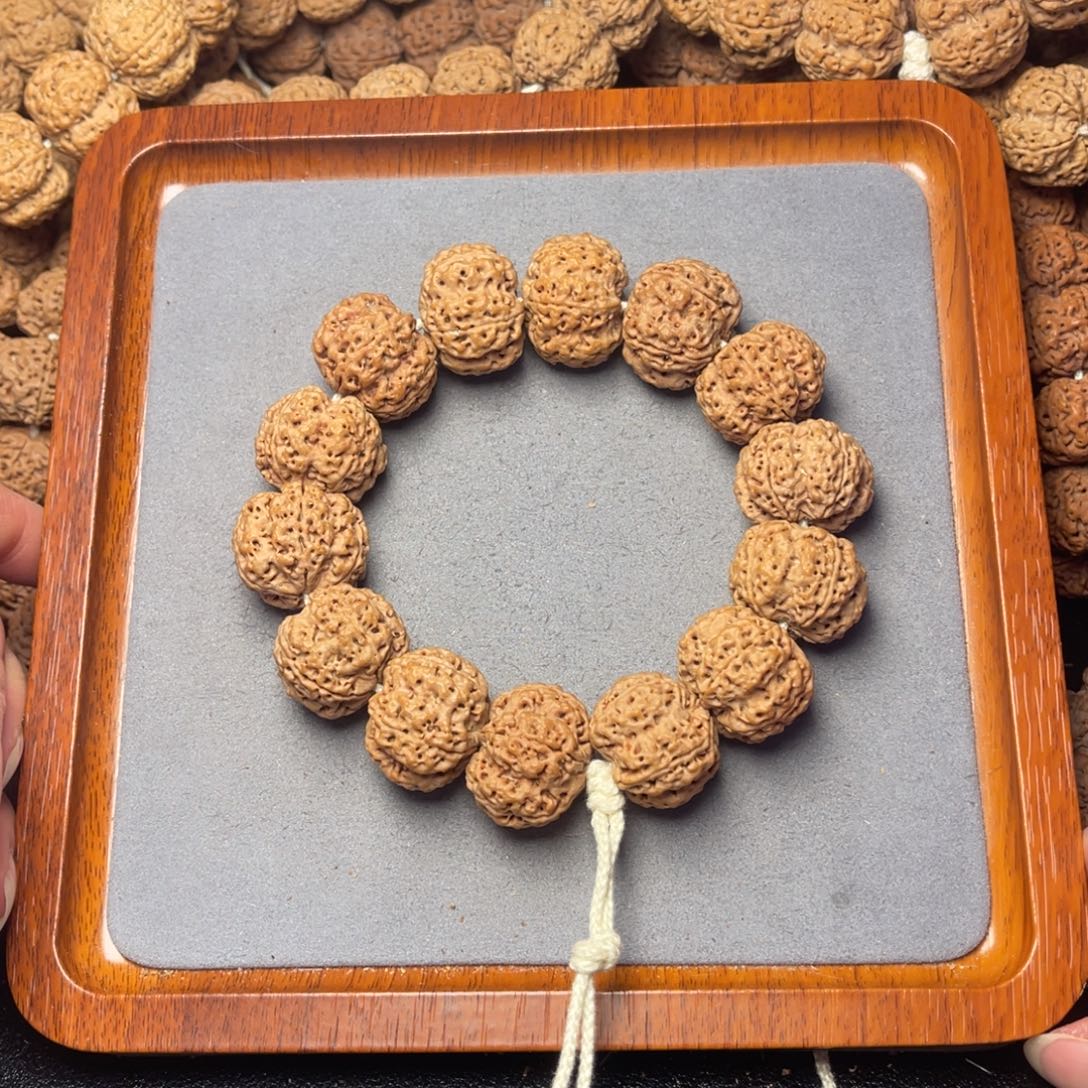 菩提籽类16号金刚菩提梅花双龙24