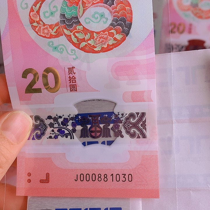 塑料倒影000881030蛇钞