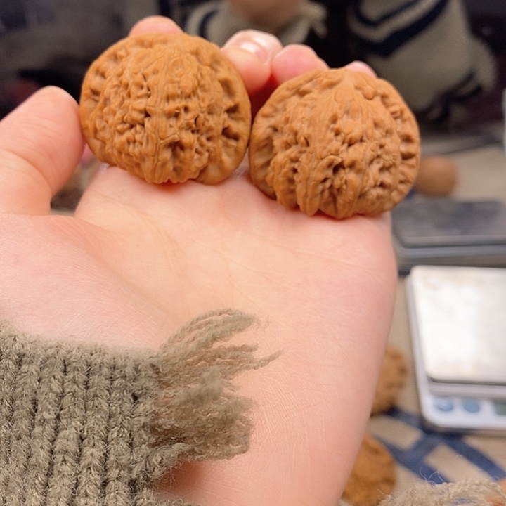 41白狮子文玩核桃哦