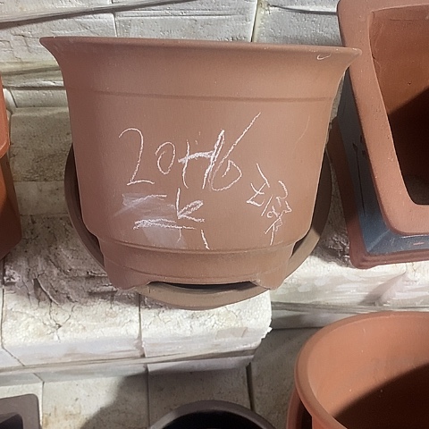 紫砂中国宜兴紫砂花盆＇