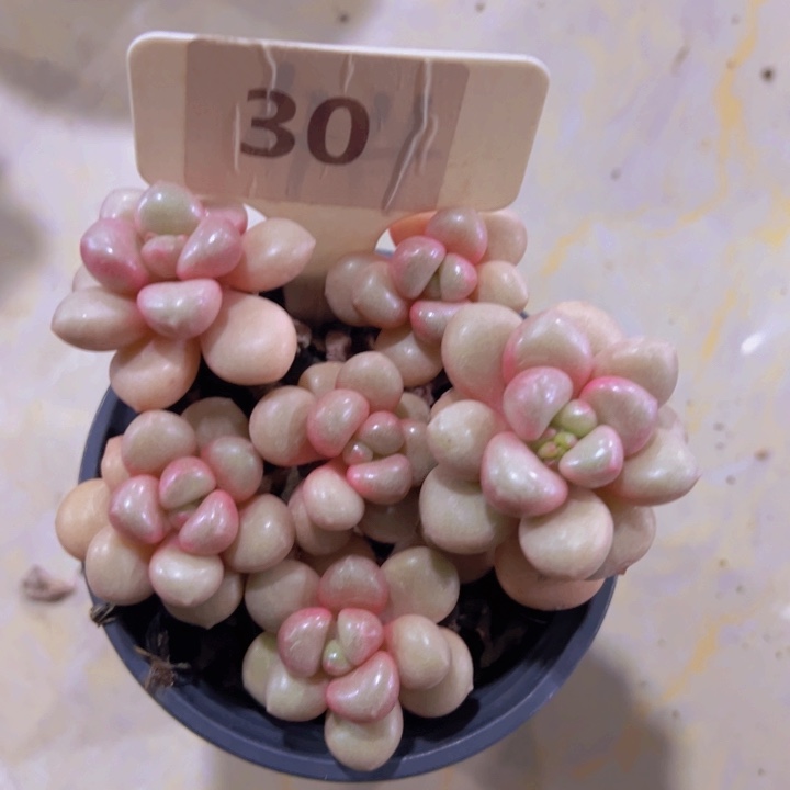 健健康康平平安安