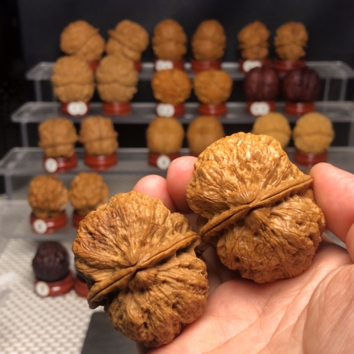 心***风文玩核桃把件218鹏程万里