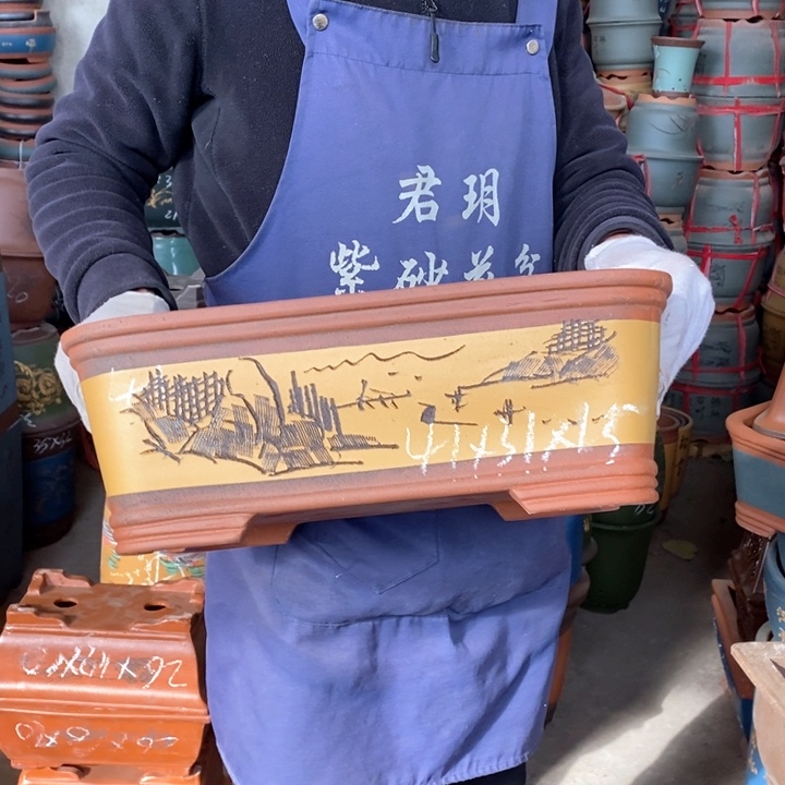紫砂花盆盆栽花卉苗木种植
