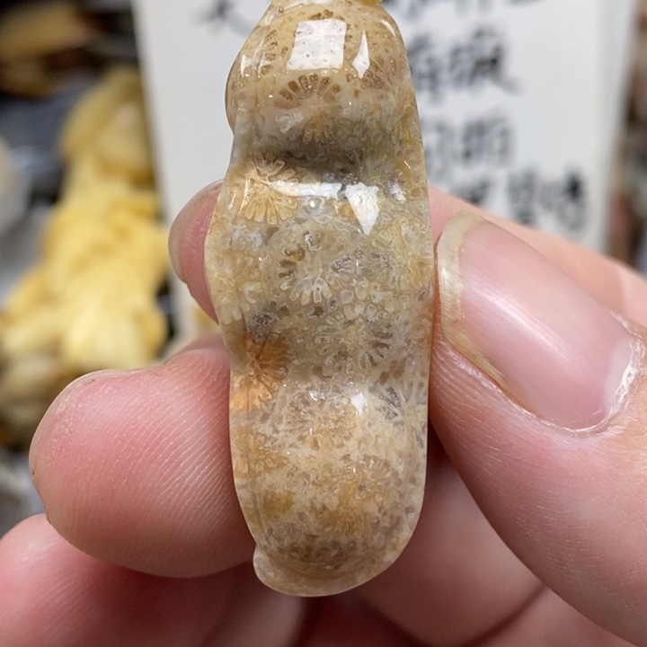 硅化珊瑚（珊瑚玉）未镶嵌颈饰