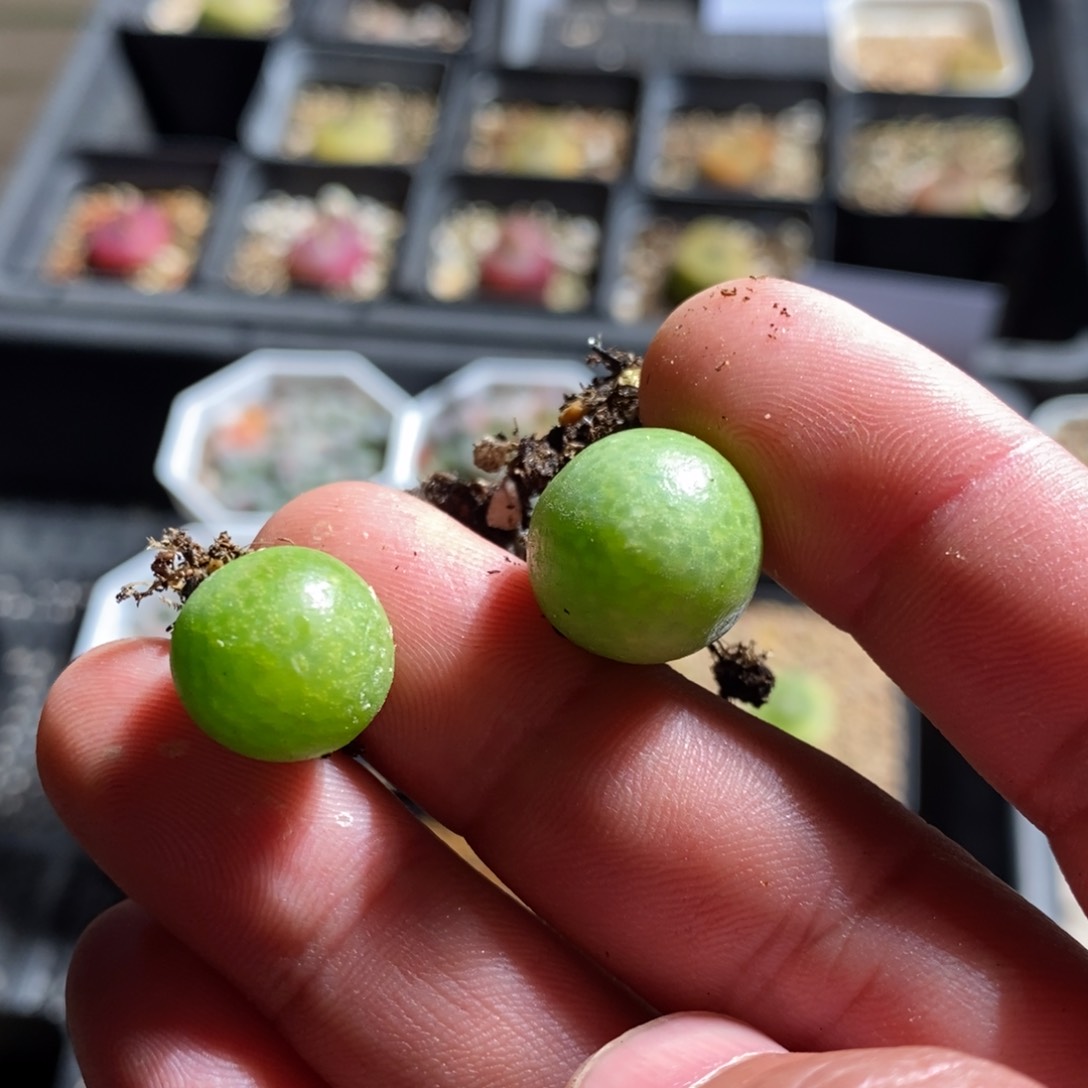 1*111135一组一组一组