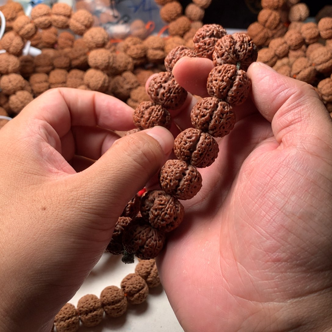 *****手串金刚菩提21龙牙