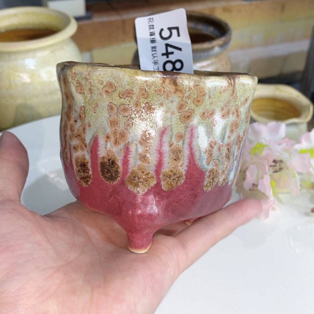 花盆花盆花盆花盆