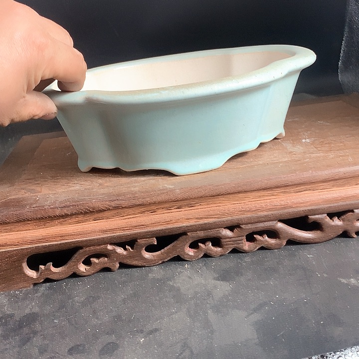 紫砂哈哈真的是太给力的