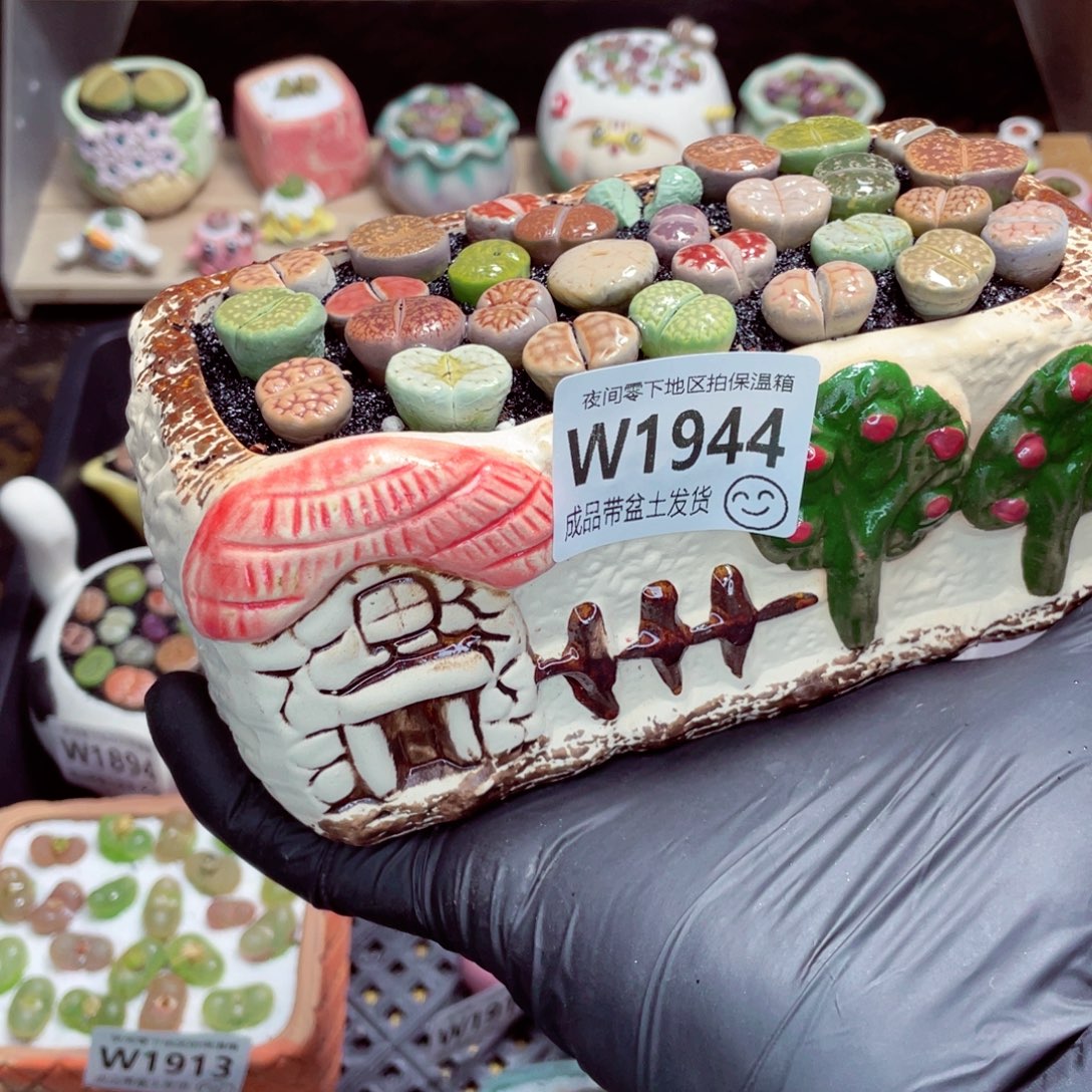 小****夜间零下地区拍保温箱w1944