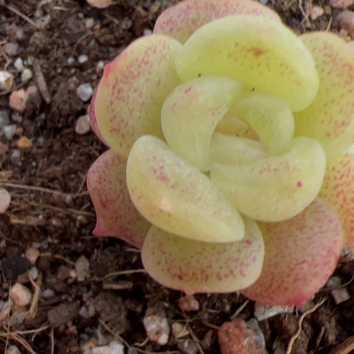 暖***52025专拍链接啊啊啊啊