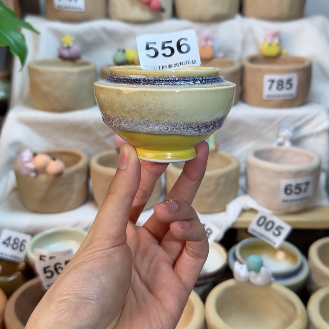 陶瓷556。内口5cm