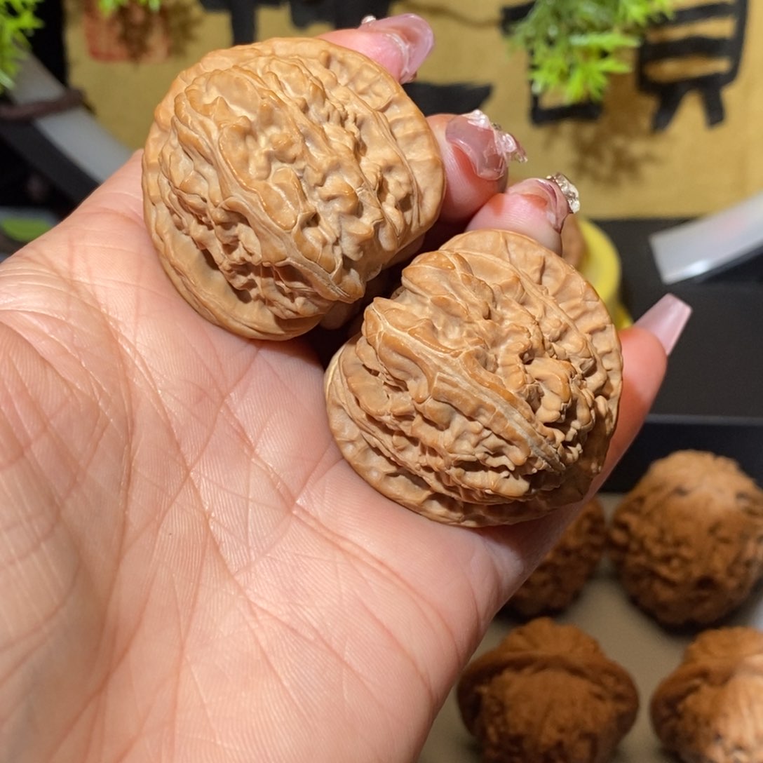 核桃手串/手链38尺白狮子
