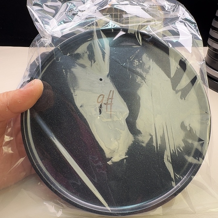 九号 处理瑕疵拉饵盘