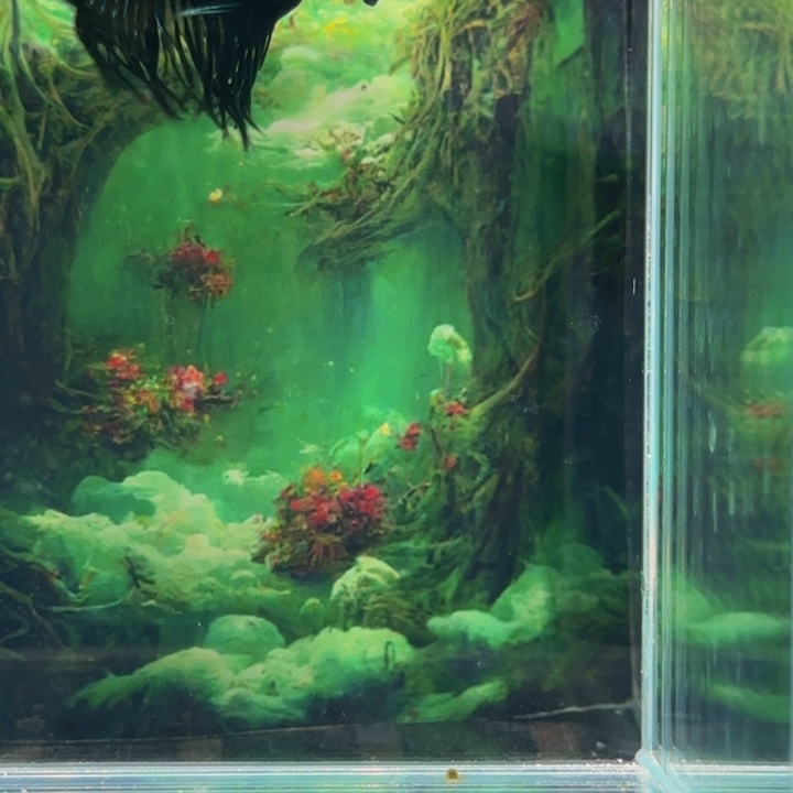 斗鱼我会有这么大个人还