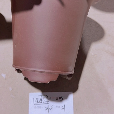 小***咪亲，紫砂花盆直播，