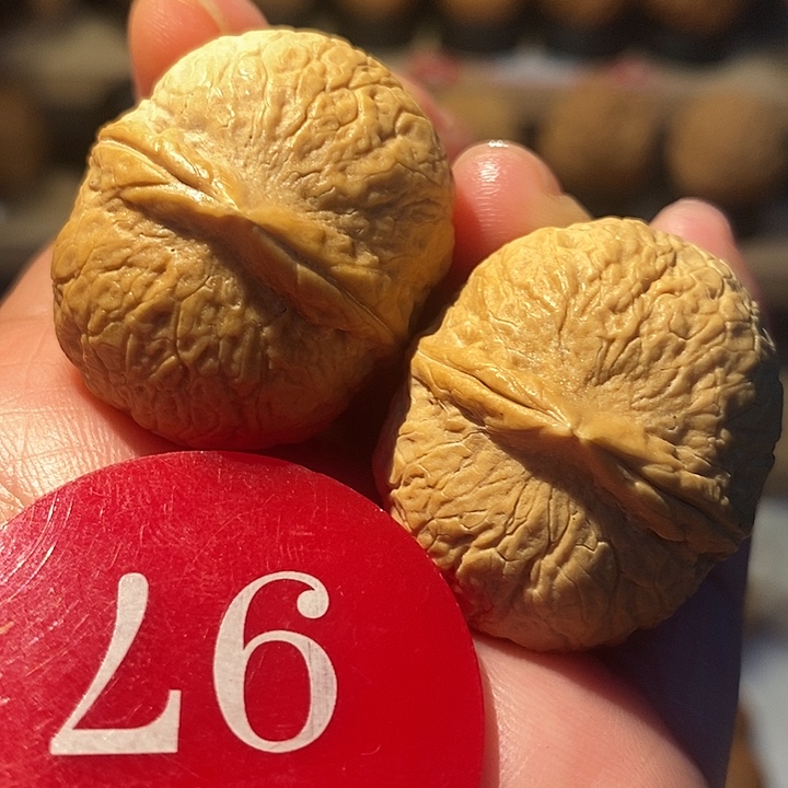 12号链接蛇皮龙蛋32尺寸