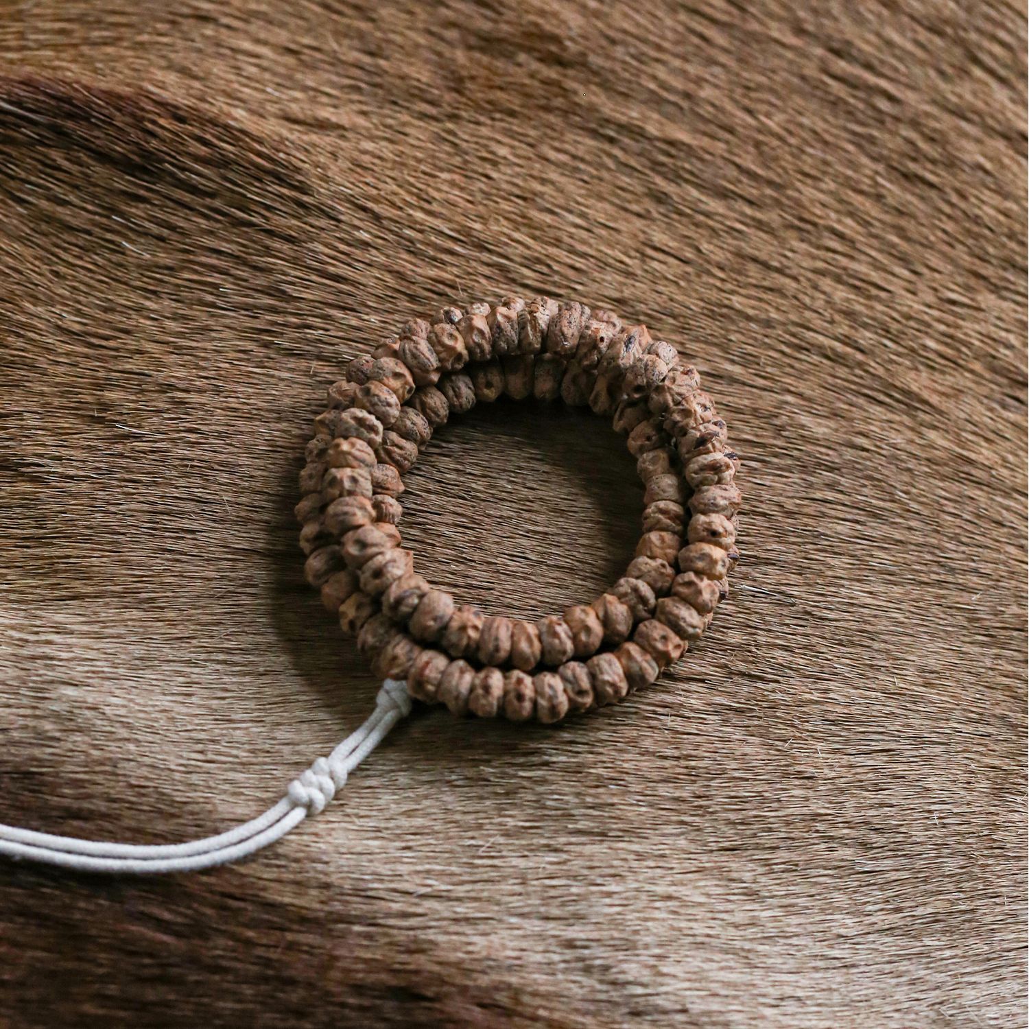 【2666】红芽横打厚切  热振百香籽  - 灯牌三级后可购柏香