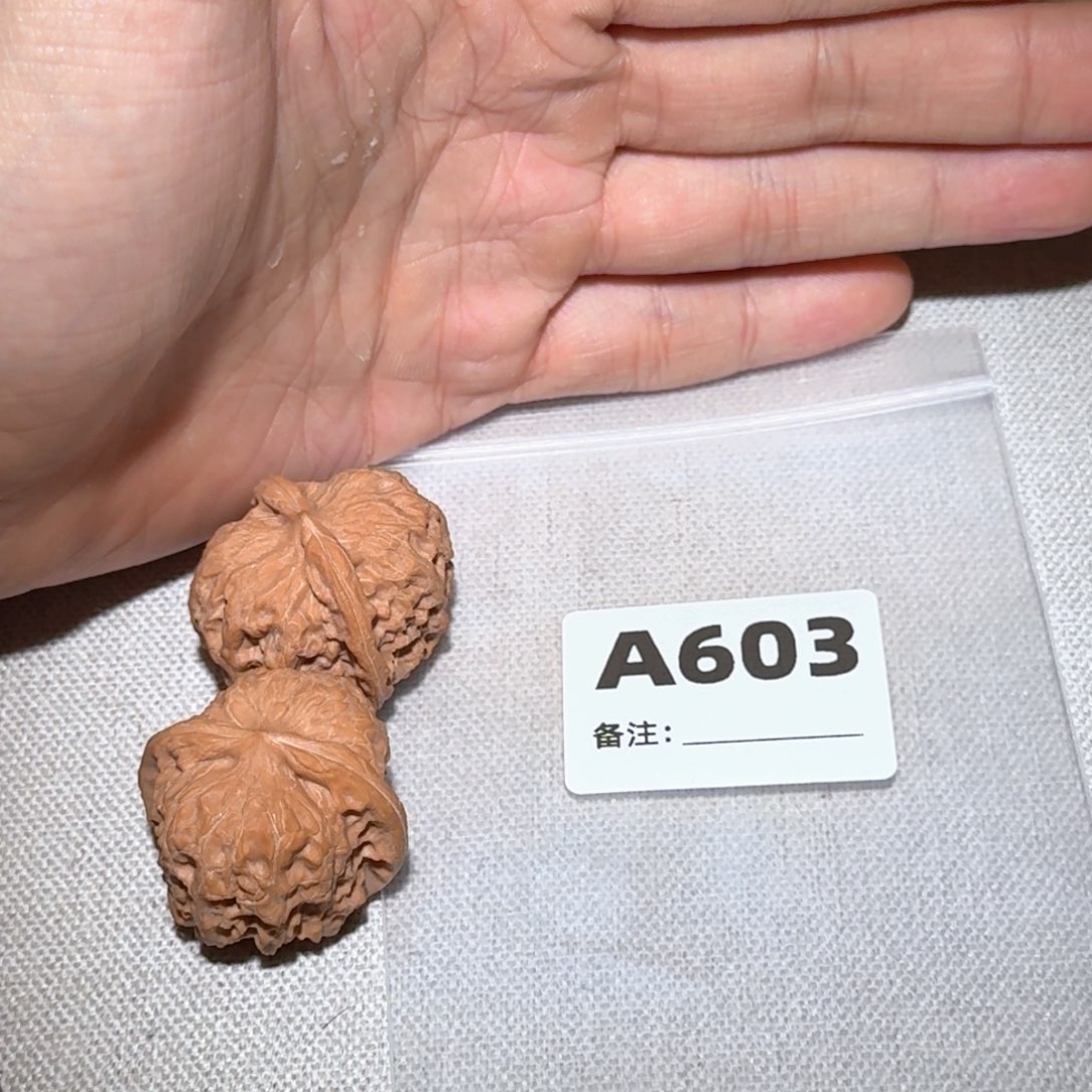 文玩核桃吊坠方墩603