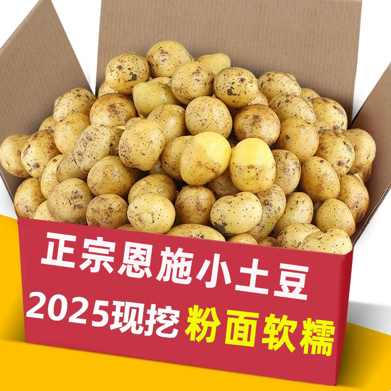 【2025新土豆】湖北恩施高山蔬菜黄心小土豆 洋芋马铃薯口感面糯