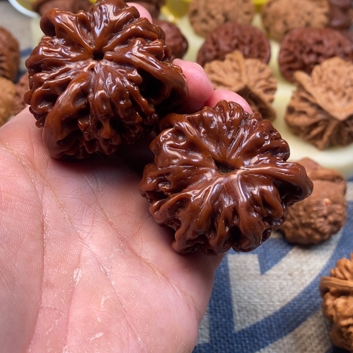 文玩核桃把件北**⭐核桃