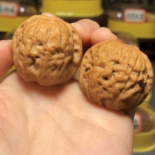 精品野生甲骨文全品