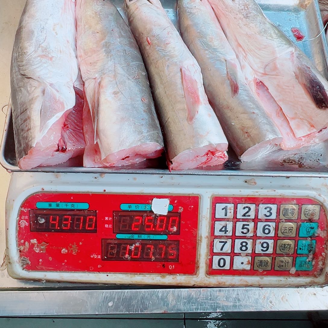 中国大陆五个鳗鱼头