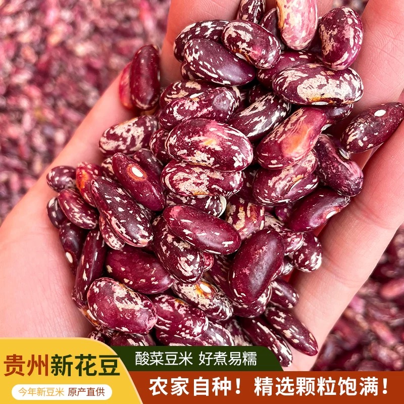 贵州特产农家自产新货精选花豆干货酸菜豆米火锅红豆子