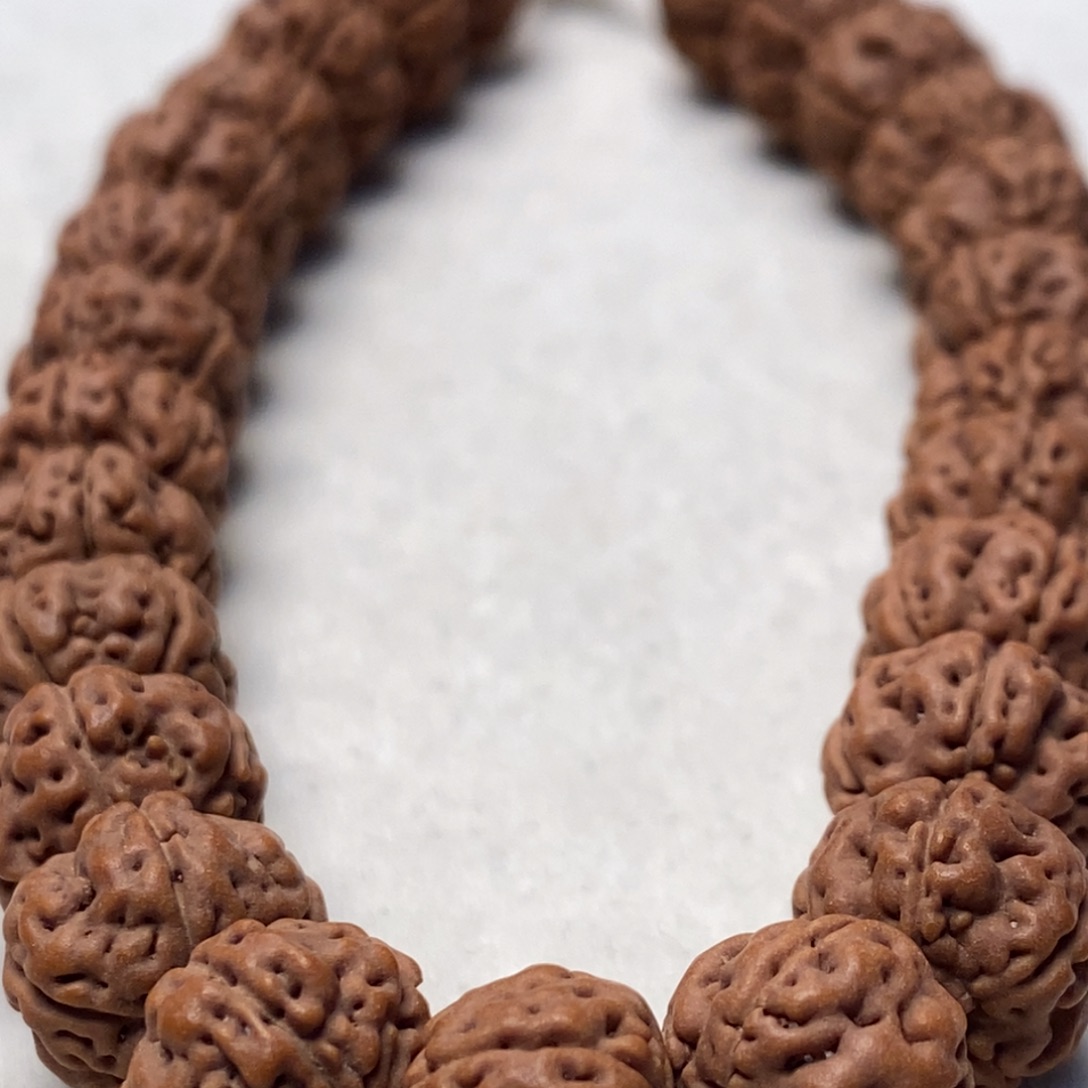 p***y菩提籽类老树王单圈