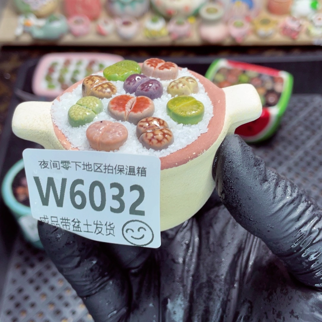 夜间零下地区拍保温箱w6032