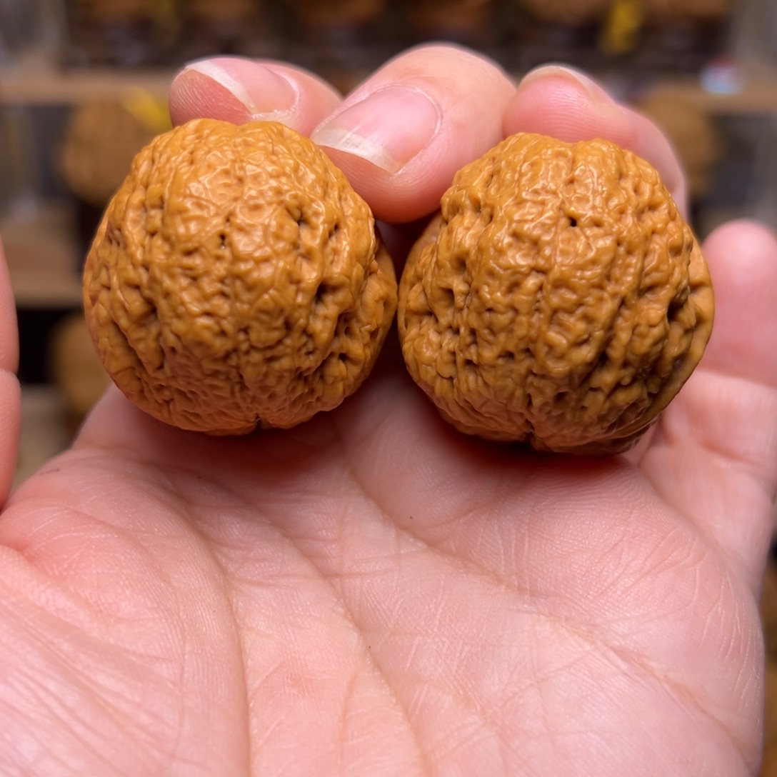 文玩核桃把件10w元宝蟾37尺