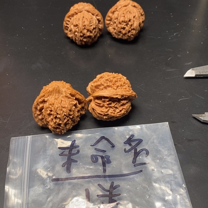 吊坠文玩核桃福利