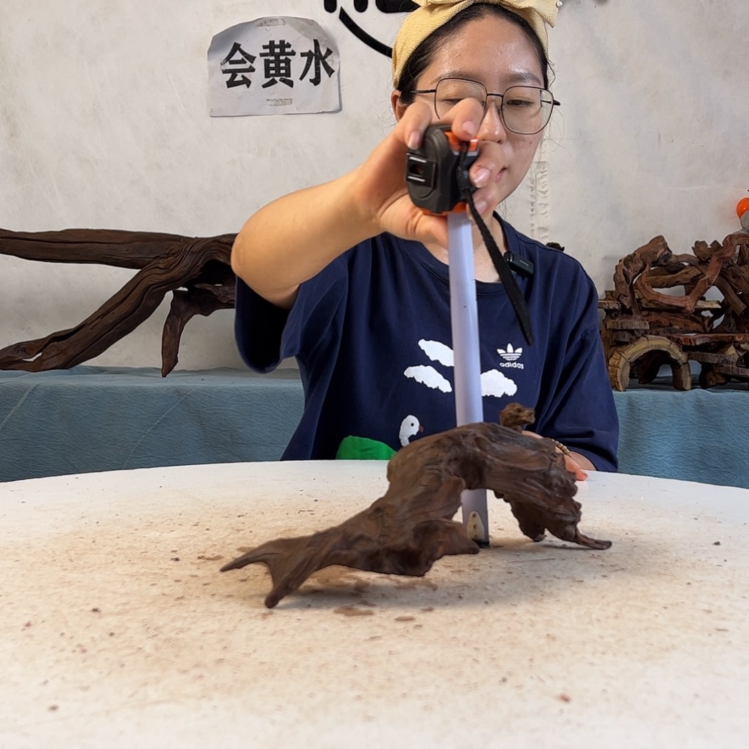 沉木造景寄居蟹景