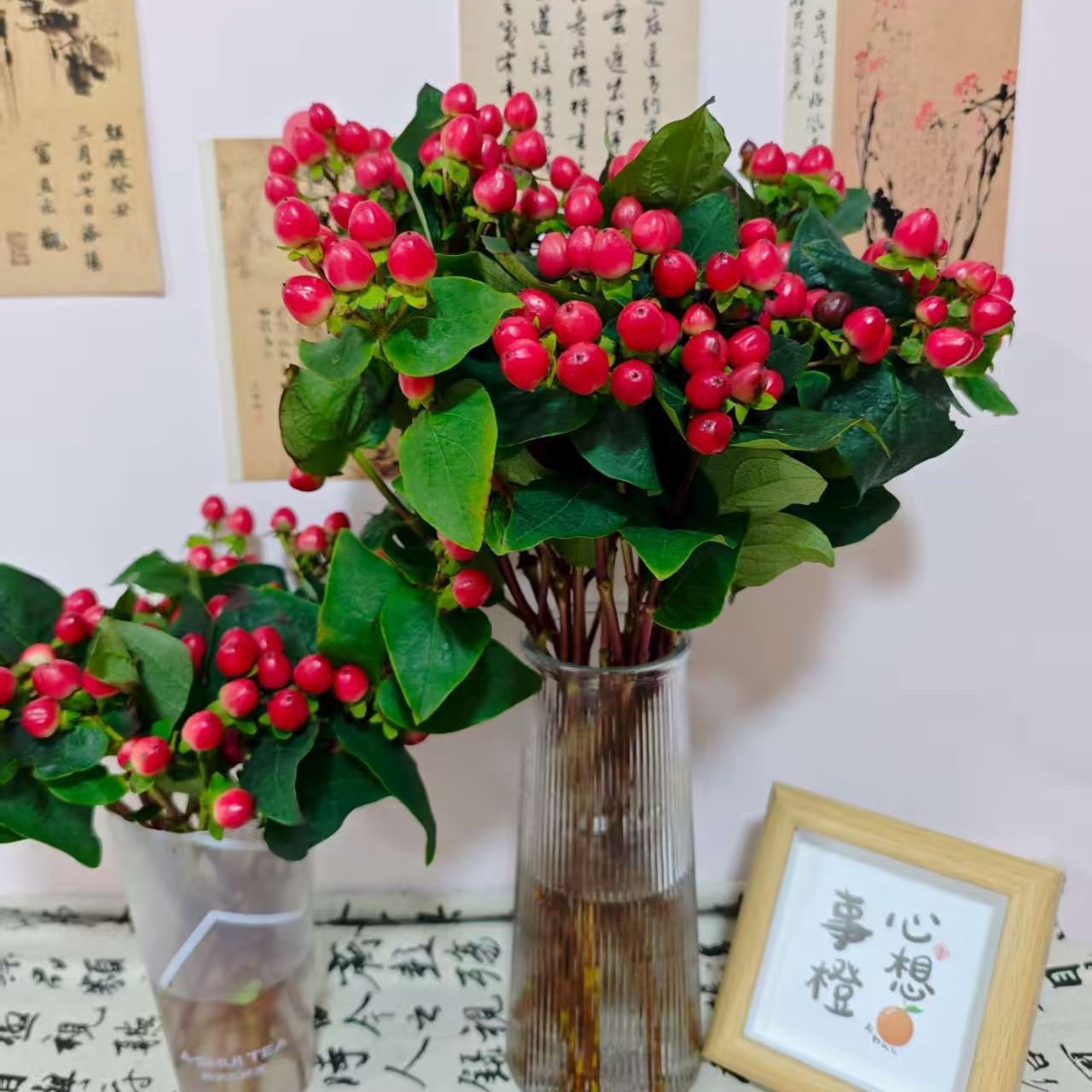 云南鲜花基地直发红豆用于婚庆插花全国包邮