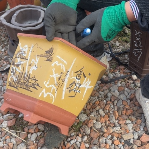 红陶紫砂花盆盆景盆栽
