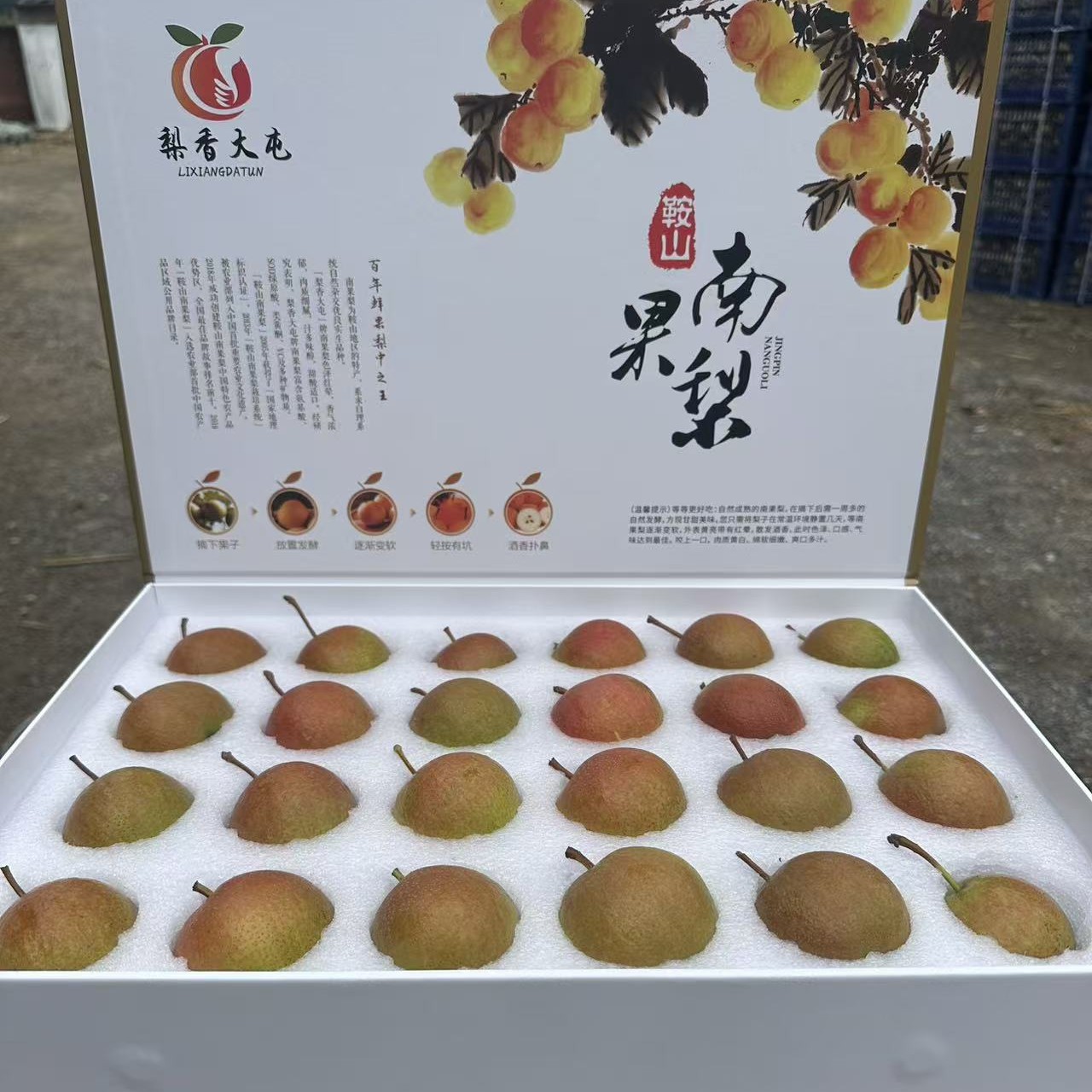 鞍山正宗老树红南果梨