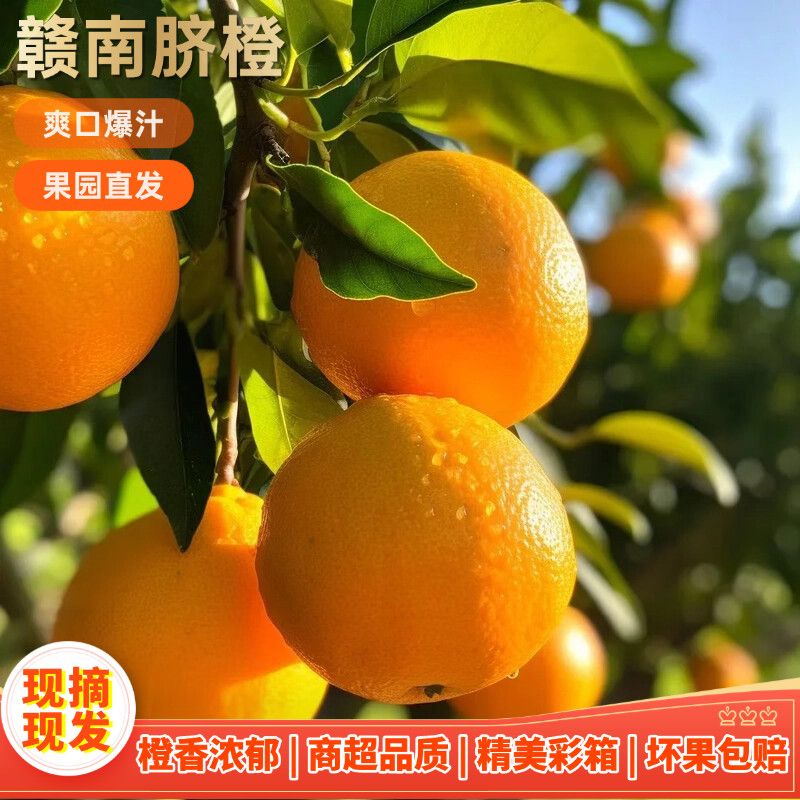 O【赣南脐橙】自家果园现摘现发皮薄汁多产地直发新鲜水果坏果包赔