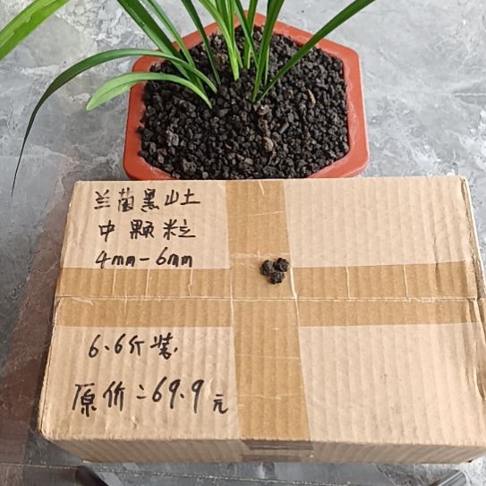 老***伯兰菌黑山土中颗粒6.6斤