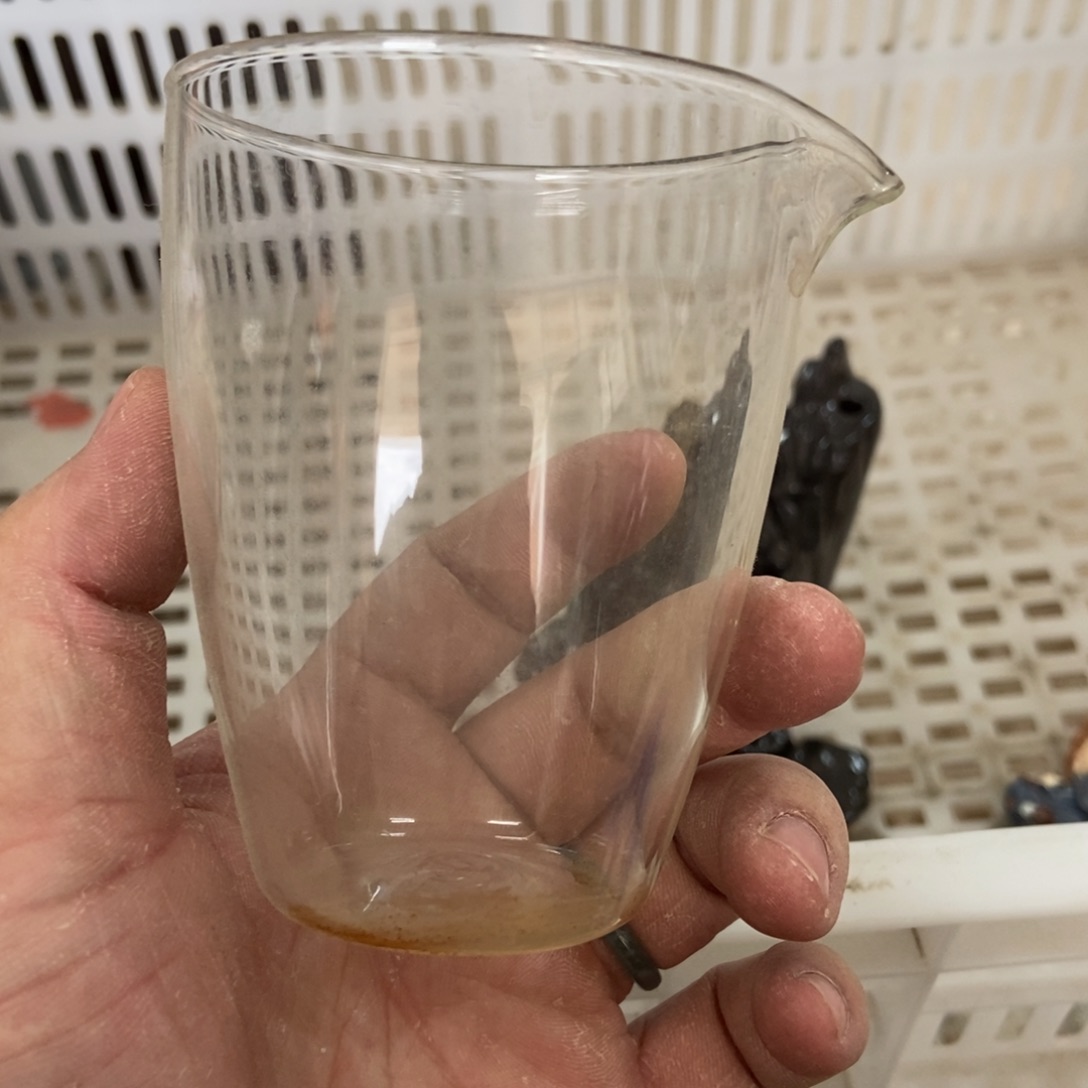 杯直播链接直播链接