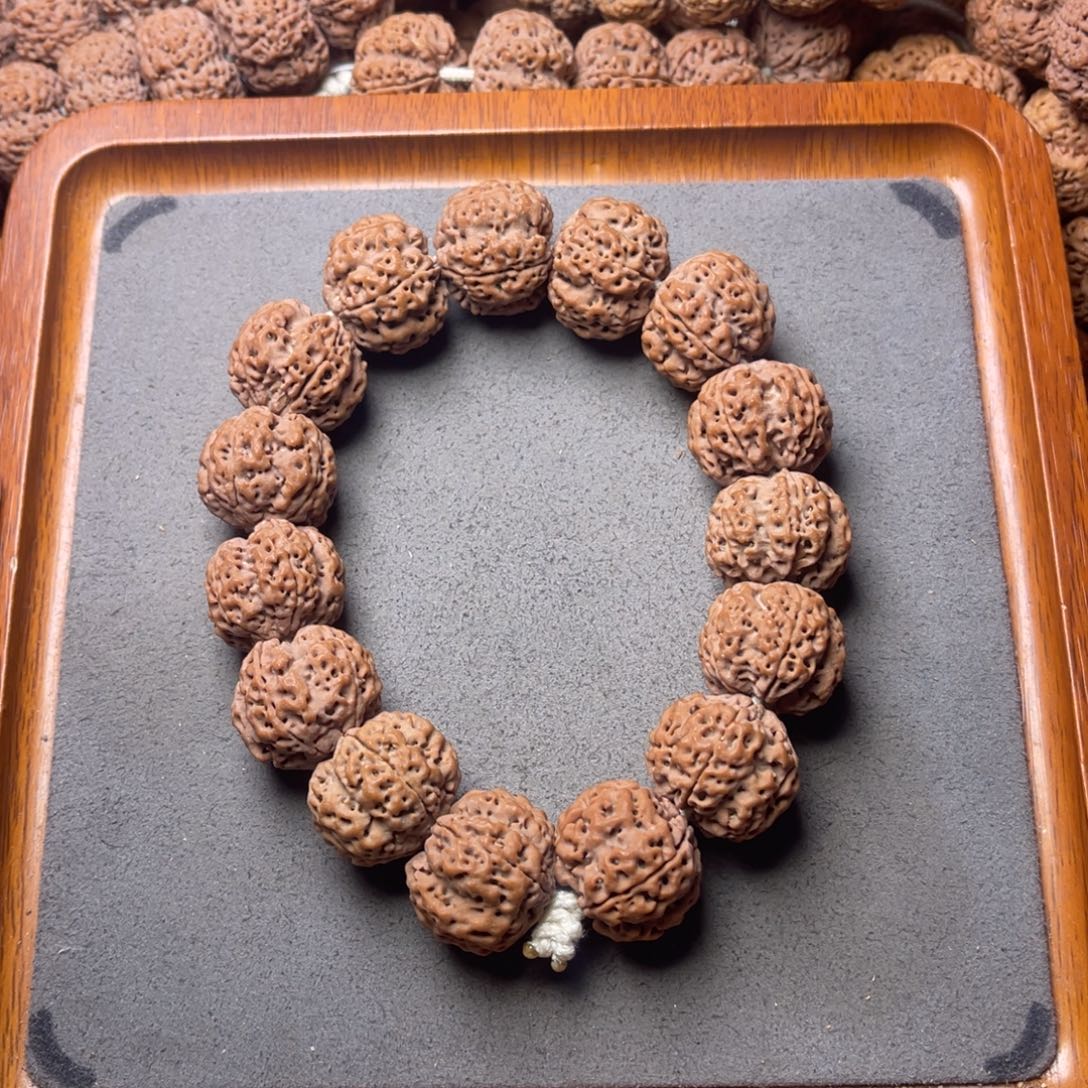 菩提籽类6号金刚菩提深沟双龙23