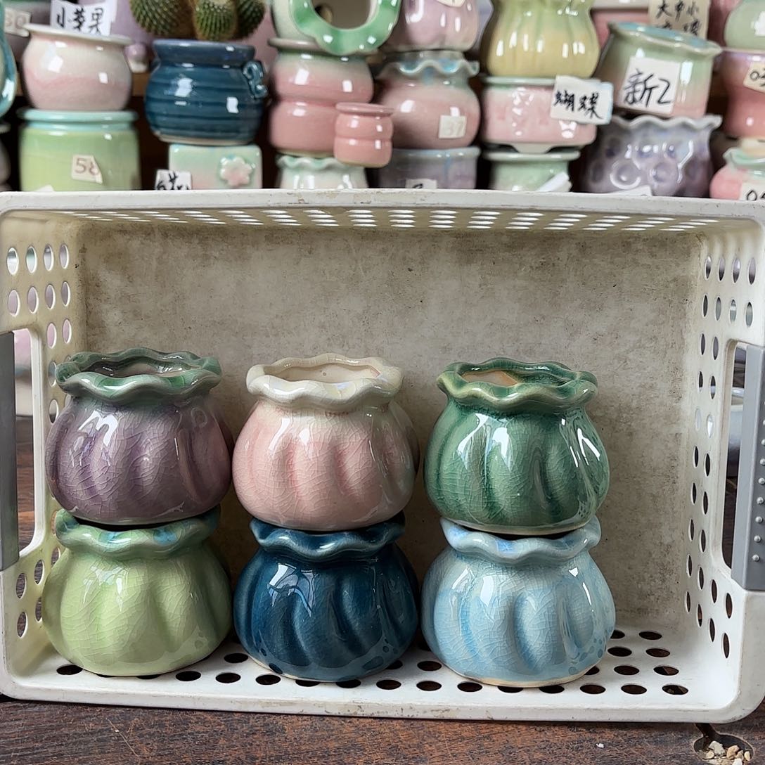 量货/4口高5深浅搭配发6