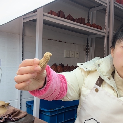 段泥一对花生茶宠